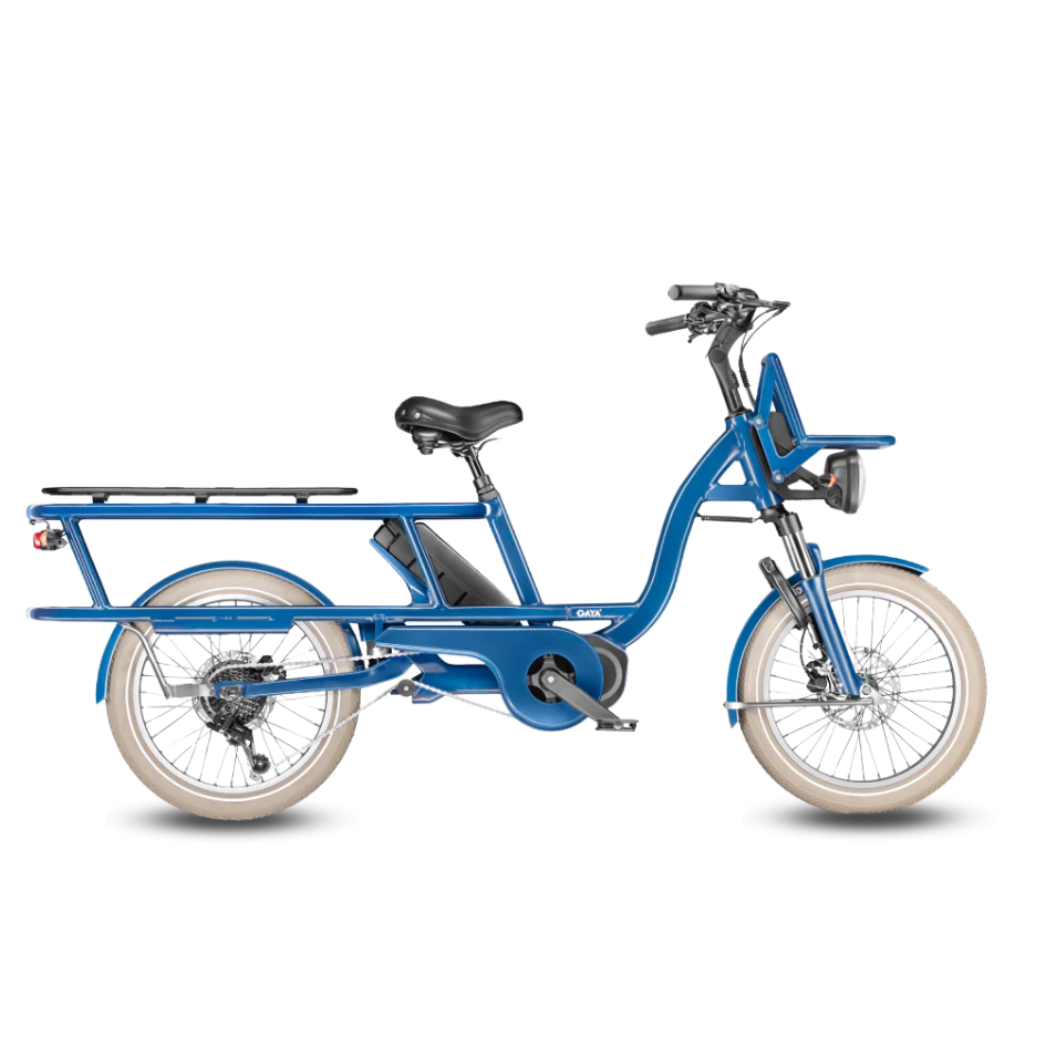 GAYA L'Incroyable, Le Long