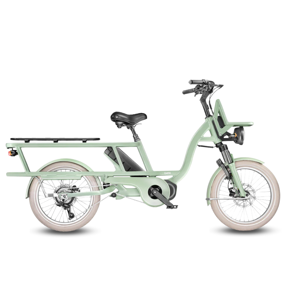 GAYA L'Incroyable, Le Long