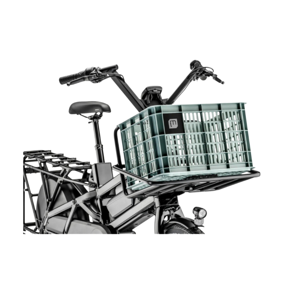 MOUSTACHE Caisse Frida